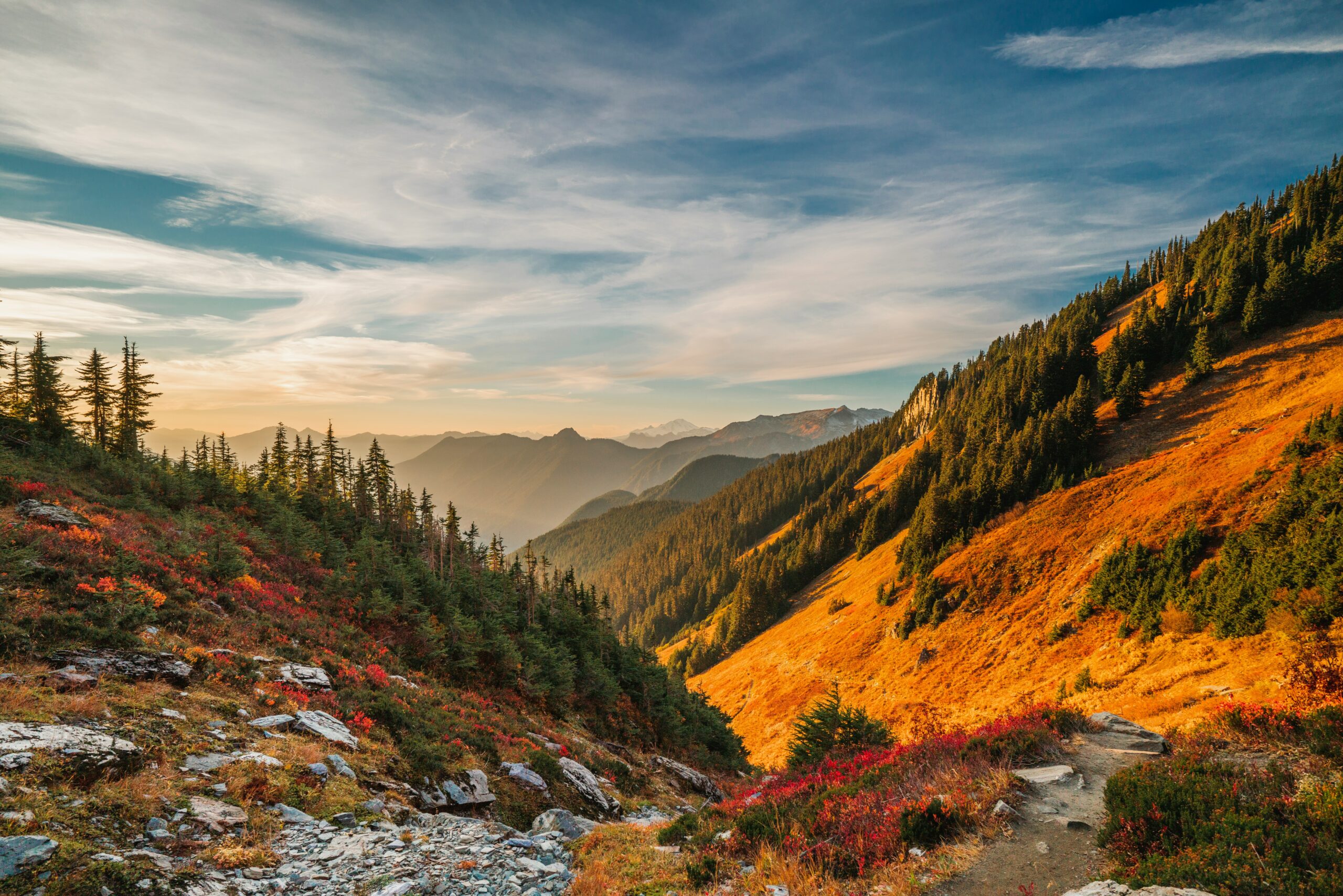 What’s My Maple Valley Home Worth? A 2025 Market Analysis
