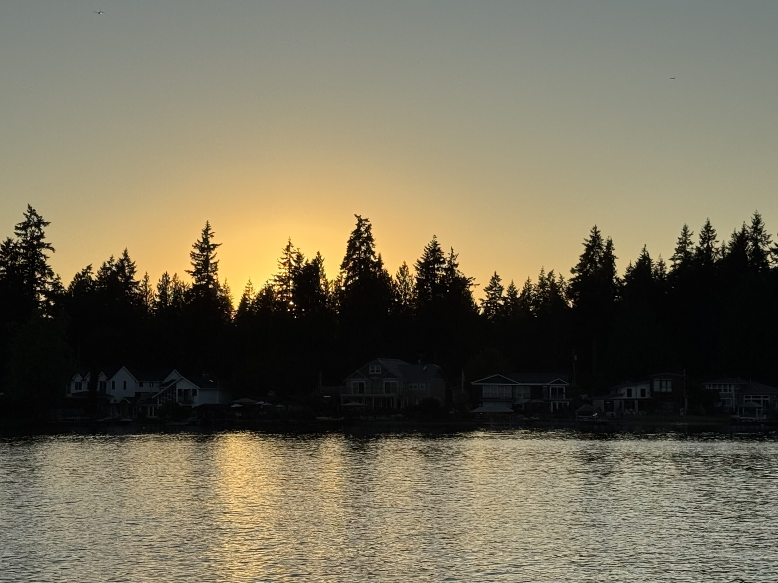 Top Real Estate Agent in Maple Valley