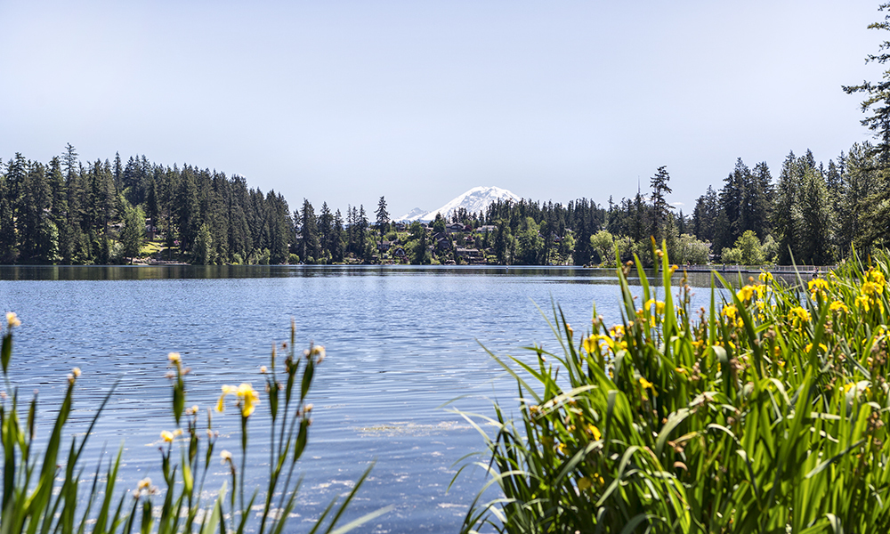 Market Update Maple Valley Aug 2025