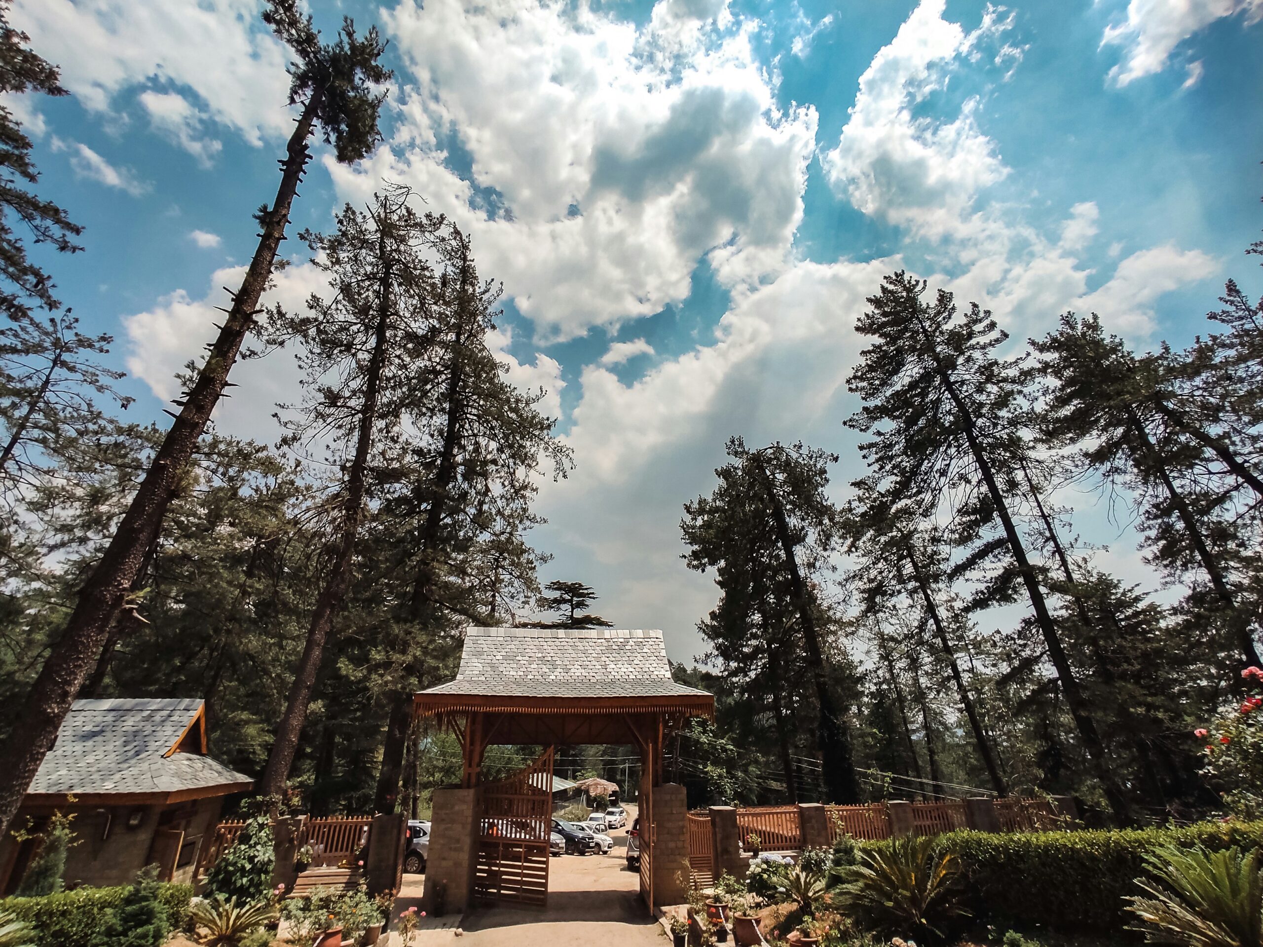 Preparing Your Maple Valley Home for Sale: Top Tips for a Quick & Profitable Sale