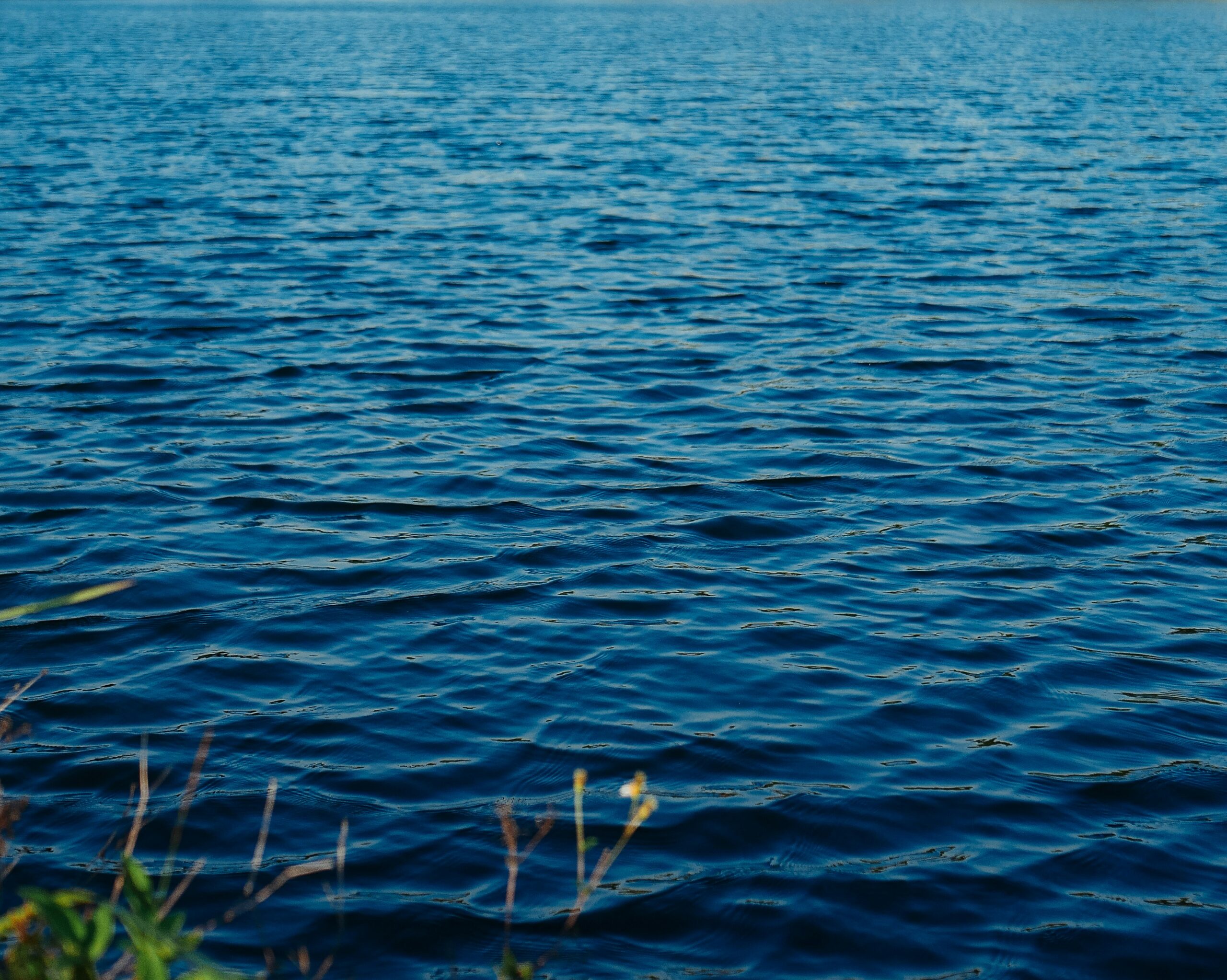 Best Real Estate Agent in Maple Valley, WA